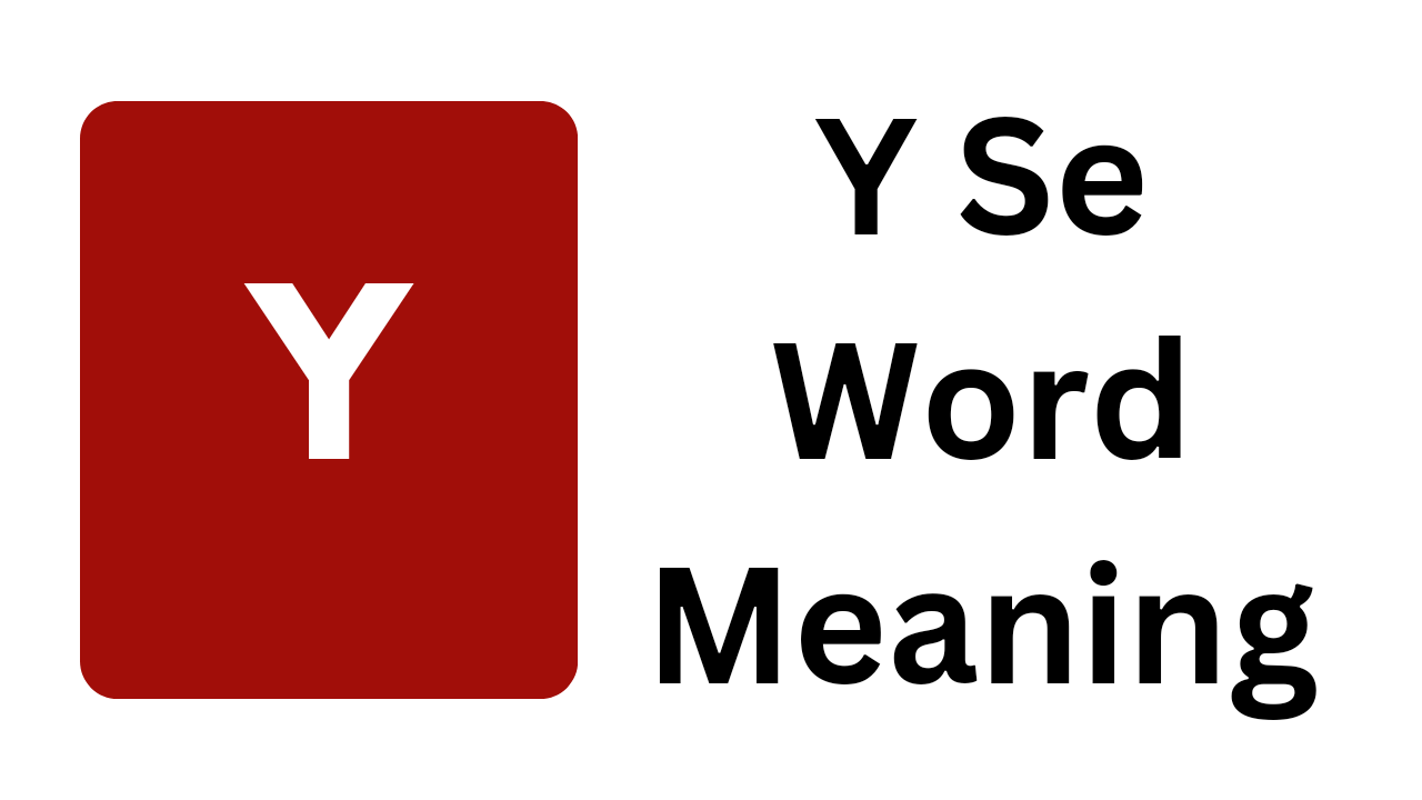 y to y meaning list